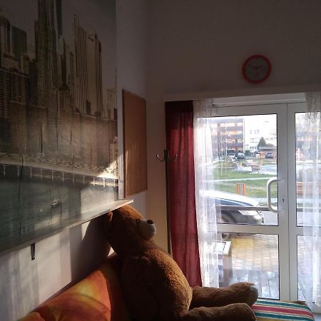 Apartament Przy Parku Noclegi 普沃茨克 外观 照片